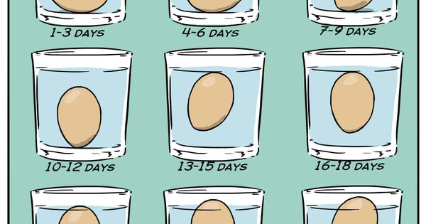 Submerge Eggs in Water to Test Their Freshness | Life Pro Tips